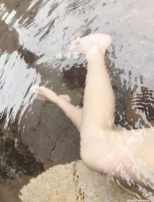 衫衫来了电视剧免费观看全集_1080高清在线