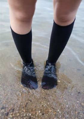 隔壁邻居女孩_BD英语免费电视剧